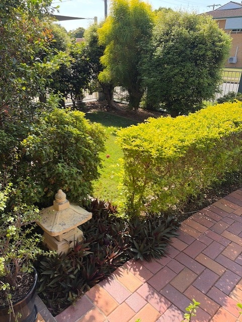 standard clay pavers